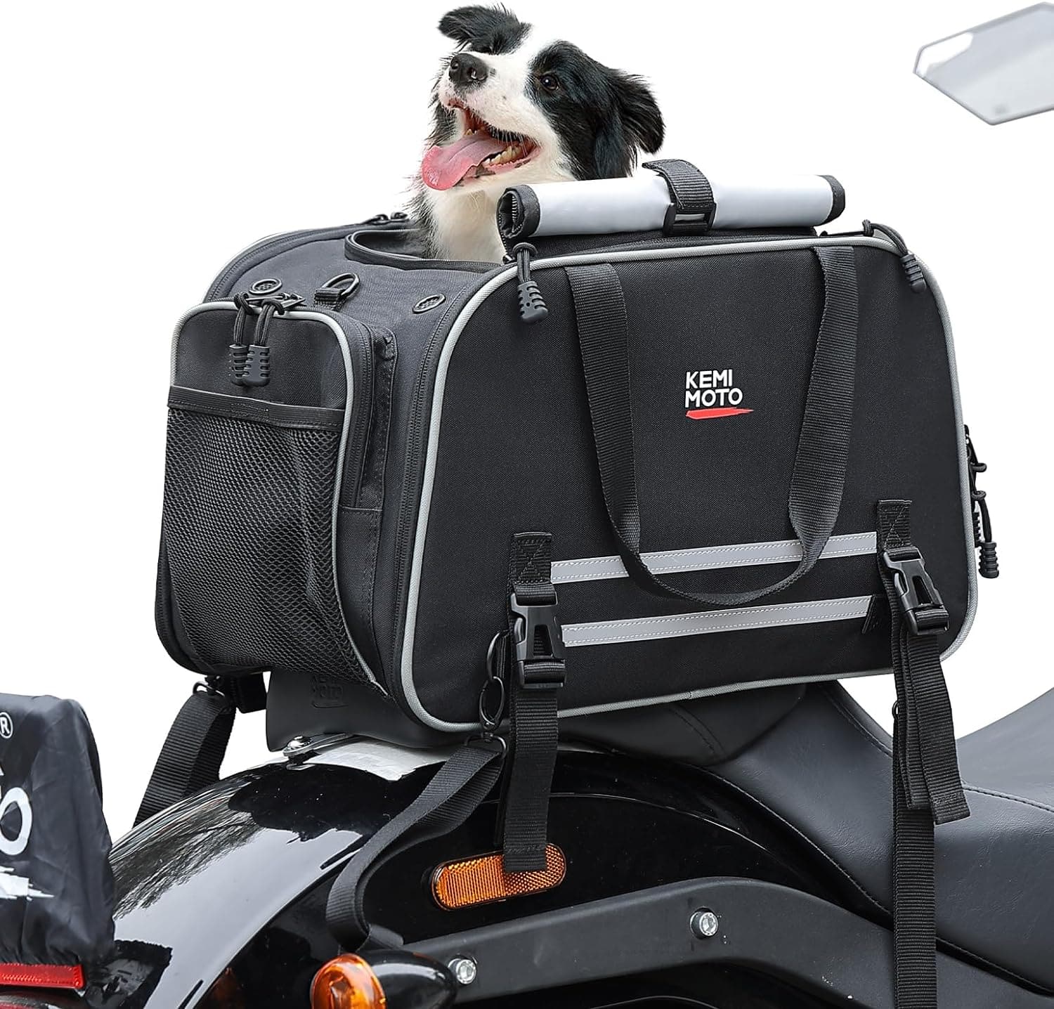 Motorcycle tank bag for dogs hotsell